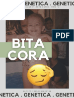 BITACORA