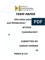 Cyanobacteria