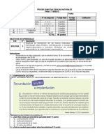 Prueba Sumativa Ciencias Naturales 7° Básico