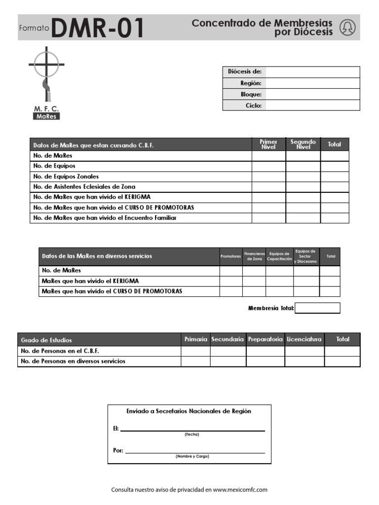 Informe DMR-01 de MaRes y Membresías | PDF