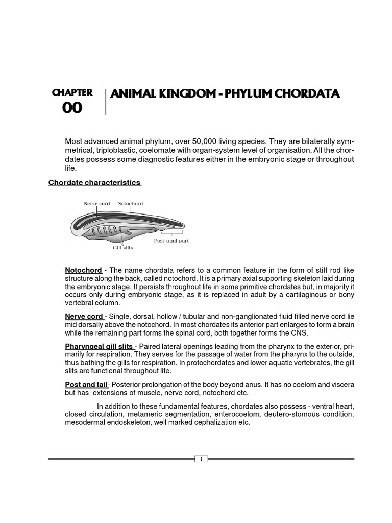 Animal Kingdom Chordata | PDF | Amphibian | Fish