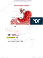 7- Physiologie de l'Estomac