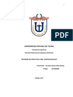 356216669 Practicas Pre Profesionales Final PDF