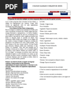 Taller Regionalismos y Extranjerismos 11°