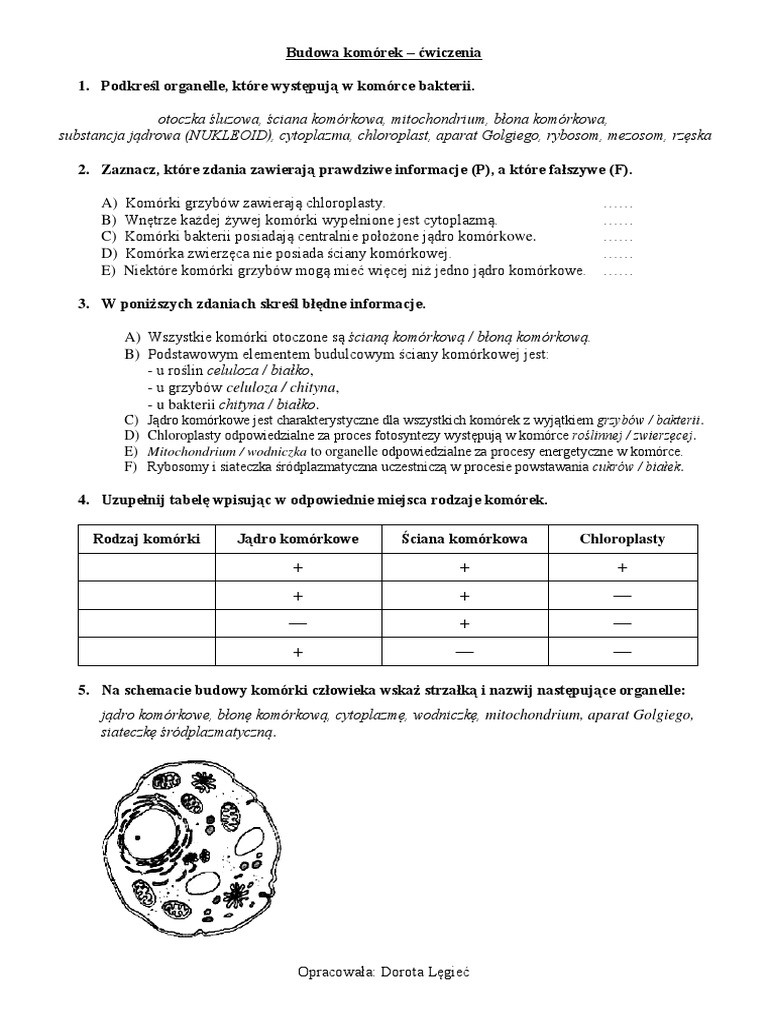 Budowa I Funkcje Komórki Rodzaje Komórek Test