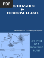 3.3 Fertilization in Plants and Animals