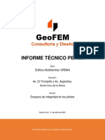 Geofem - Informe Pet 2 - Urban