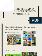 La Biodiversidad en Bolivia, Conservación y Protección