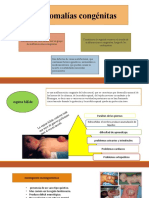 Anomalias Congenitas
