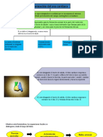 Formación Del Asa Cardiaca