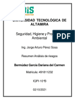 Resumen Analisis de Riesgos BGDC