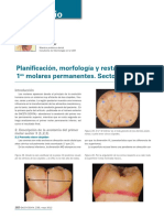 236 LABORATORIO Planificacion Primeros Molares2