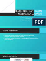 Faktor Eksternal Gangguan Kesehatan Jasmani