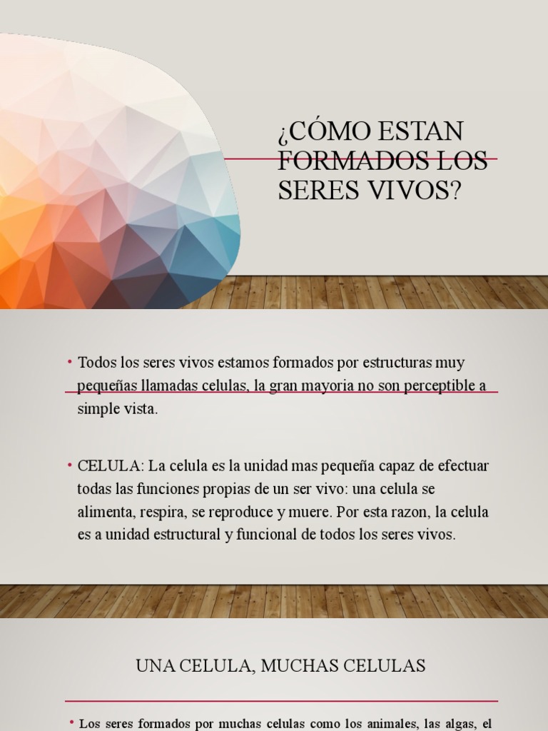 Estan Formados Los Seres Vivos PDF Biología Celular) Organismos