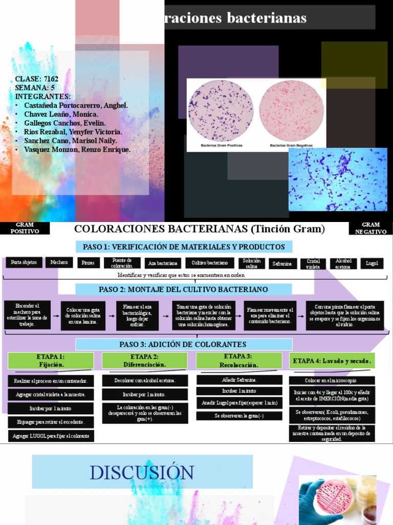 Coloraciones Bacterianas. | PDF | Microorganismo | Química