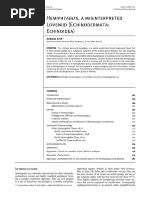 Kroh2007hemipatagus Taxonomy Biology Taxa - 