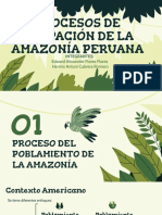 Grupo 5_Ocupación Amazonas.pptx