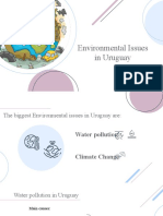 Environmental Issues in Uruguay