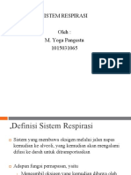 Anatomi Fisiologi Sistem Pernapasan