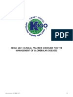 KDIGO 2021 Glomerular Diseases Guideline