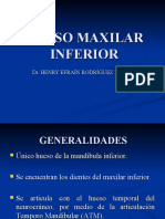 Hueso Maxilar Inferior