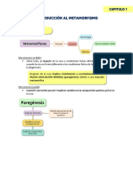 Resumen C1 - Introducción Al Metamorfismo