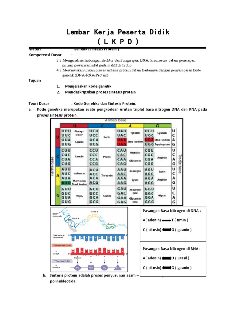 LKPD Sintesis Protein Kelas 12 | PDF