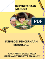 Biokes 04 - Fisiologi Pencernaan Manusia - Revisi