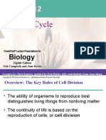 W3 - Cell Cycle and Mitosis