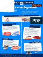 Enfermedades Causadas Por Protozoos