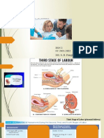 Intrapartum - 3 Stage of Labor: BSN 2 SY 2021-2022 DR. S. B. Pangilinan (RLE Instructor)