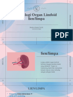 Organ Limfoid