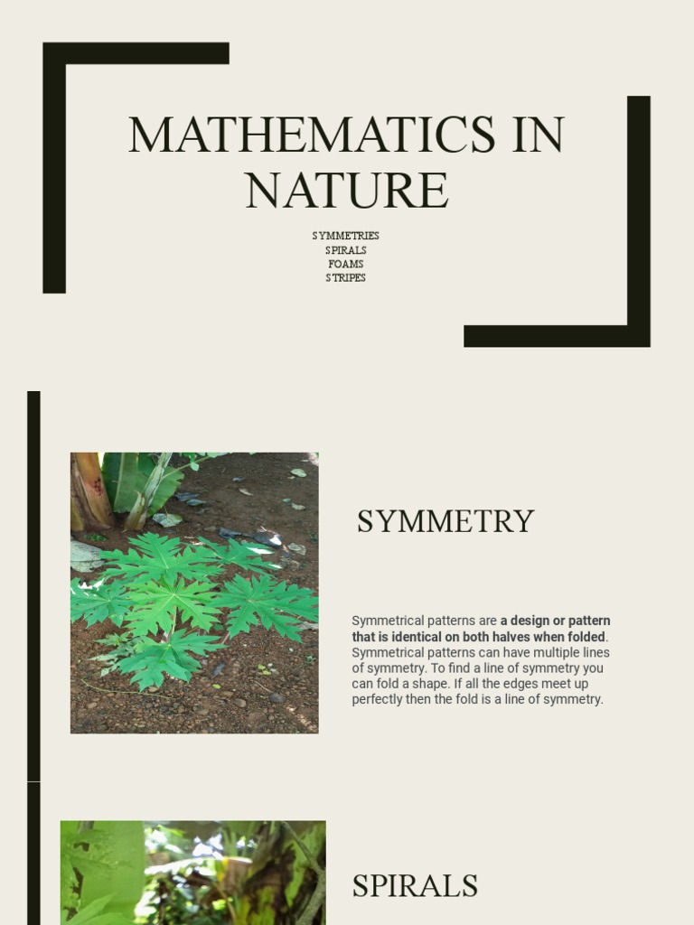 Mathematics in Nature: Symmetries Spirals Foams Stripes | PDF