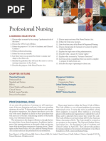 Professional Nursing