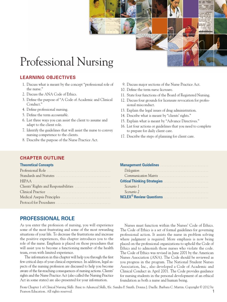 Professional Nursing | PDF | Nursing | Health Care