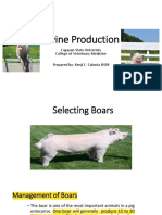 Selecting Boars 2021