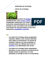 Propiedades Medicinales de La Lechuga