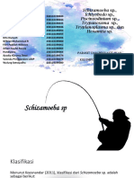 Kelompok 1 - Perikanan B - Schizamoeba SP., Ichtyobodo SP., Piscinoodinium SP., Trypanosoma SP., Tryplanoplasma SP., Dan Hexamita Sp.