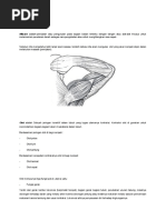 Download Massage by Trisno Dhiantoro SN53437285 doc pdf