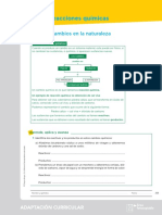 Reacciones Químicas Adaptación Curricular