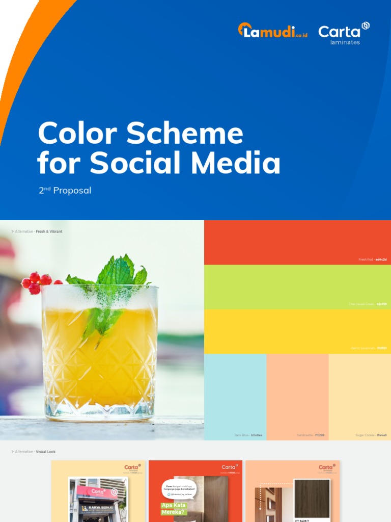Color Scheme For Social Media: 2 Proposal | PDF | Visual Perception
