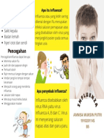 Leaflet Influenza