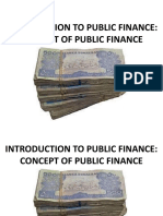 Public Finance Class Presentation