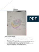 Cell Parts and Functions