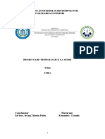 Romaniuc ClaudiuOffice Word Document