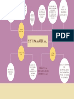 Sistema Arterial