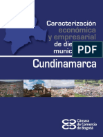 Caracterizacion Economica y Empresarial de 19 Municipios_000