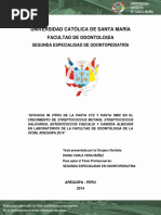 Universidad Católica de Santa María