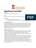 Rainforest Food Web