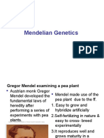 Mendelian Genetics Explained